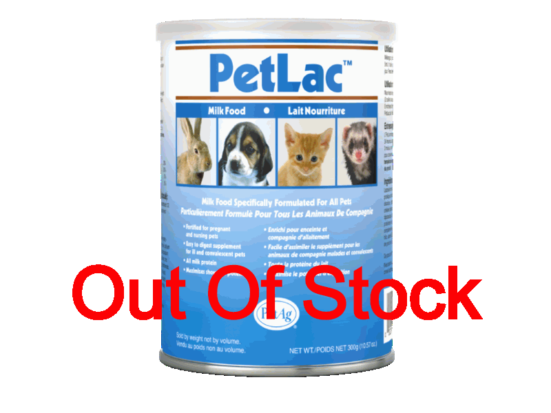 Best Pet Groomer